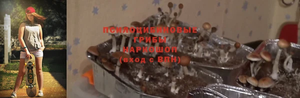 соль ск Алзамай